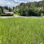 Natur pur mit sonnigen Aussichten Richtung Westen Thumbnail