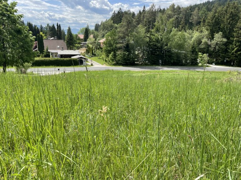 Natur pur mit sonnigen Aussichten Richtung Westen Thumbnail